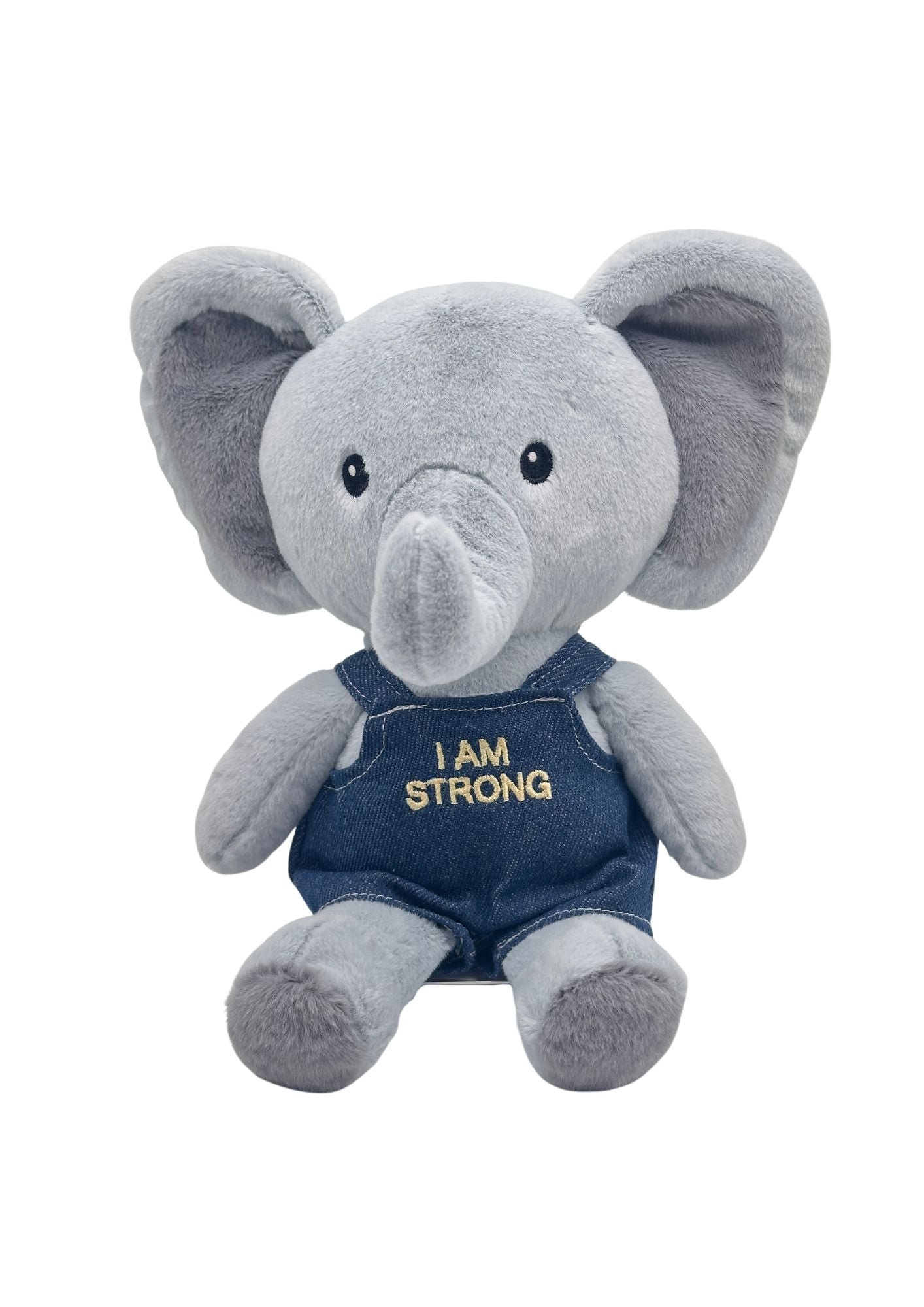 Eli Elephant - I AM STRONG - Coming October - PRE-ORDER ONLY