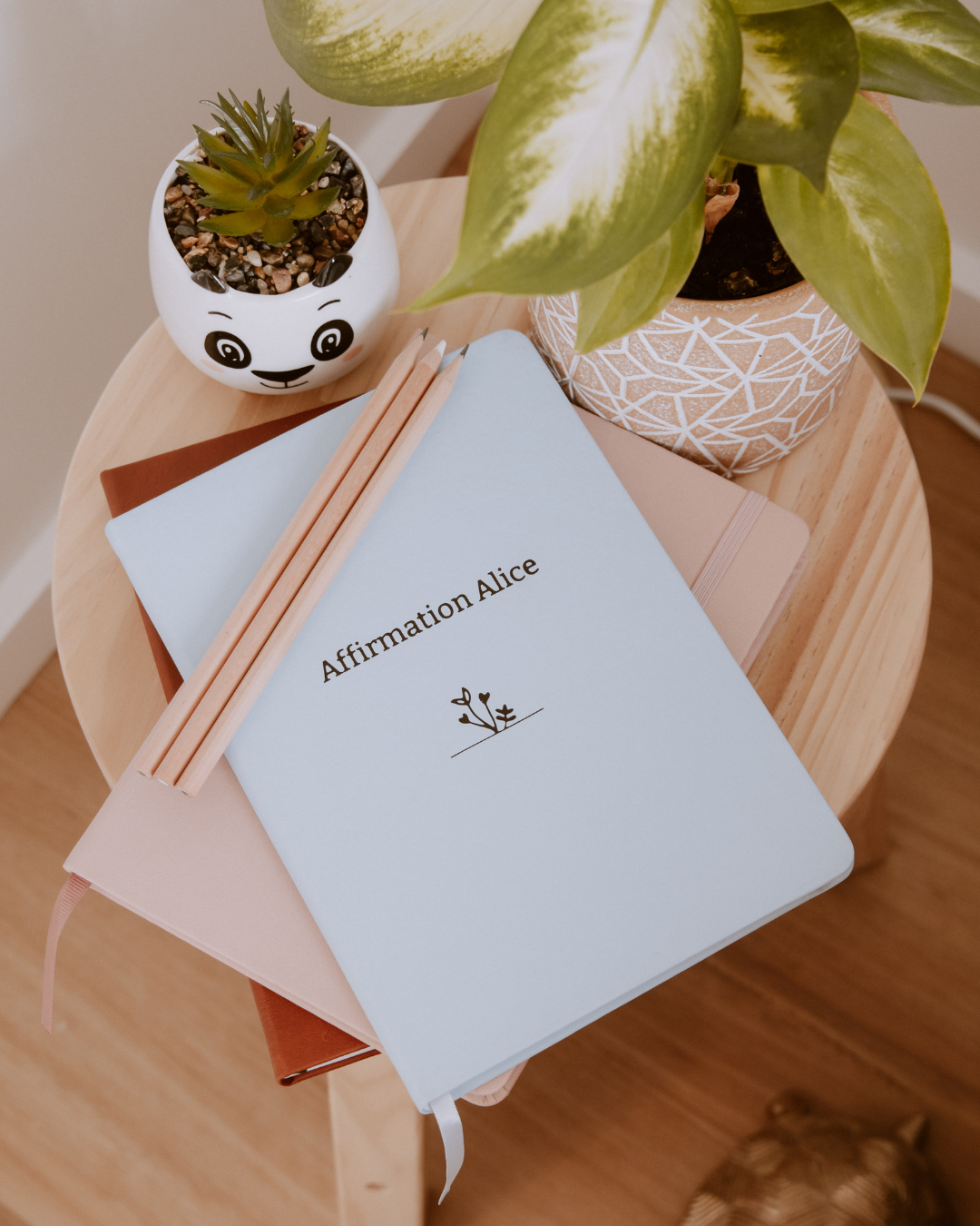 Affirmation Alice - JOURNAL ONLY